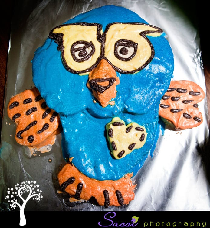 Hoot Cake