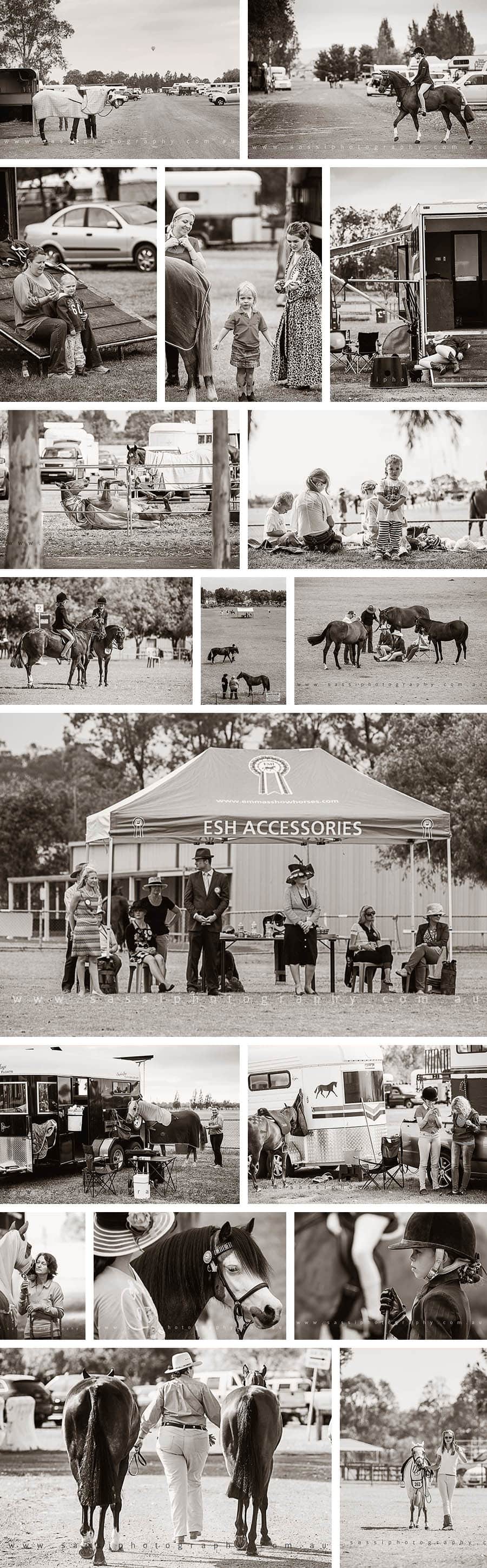 ESH Championships 2012