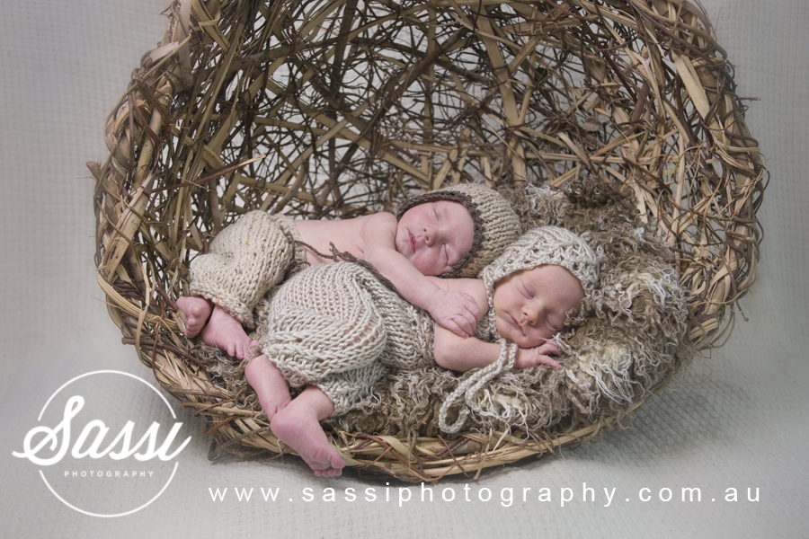 newborn twins photographer brisbane