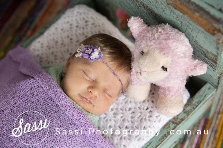 East Brisbane Newborn Photos